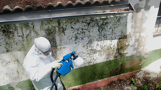 Trusted Crawl Space Mold Removal service in Lititz, PA - Cheap Mold Removal